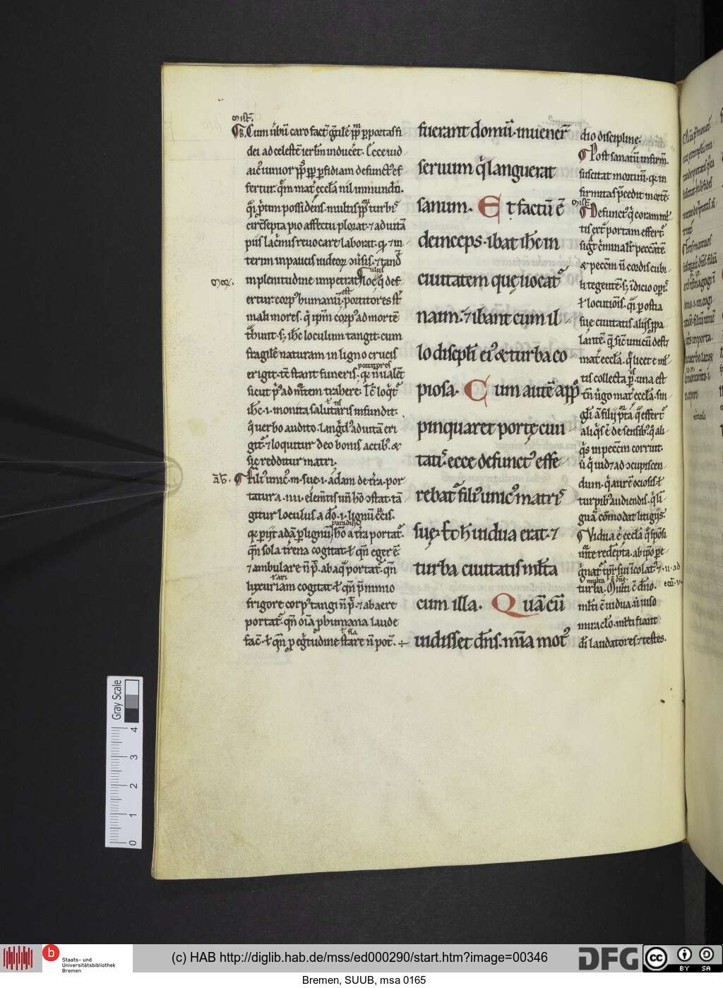 http://diglib.hab.de/mss/ed000290/00346.jpg