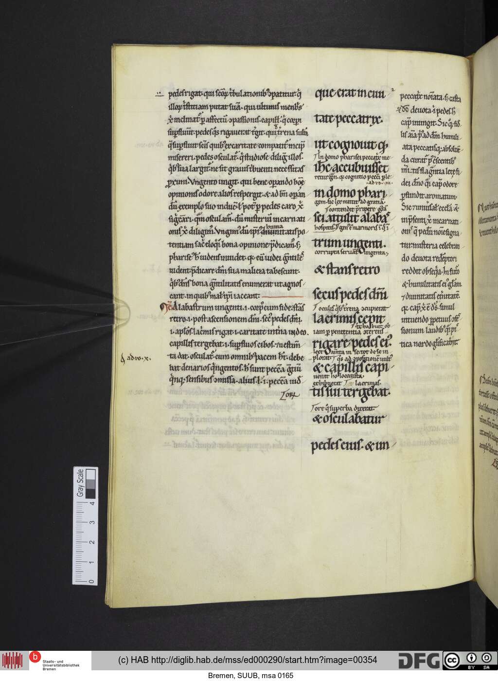 http://diglib.hab.de/mss/ed000290/00354.jpg