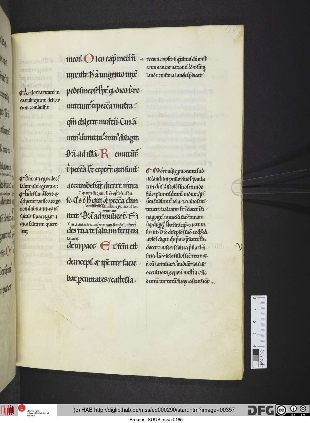 http://diglib.hab.de/mss/ed000290/00357.jpg