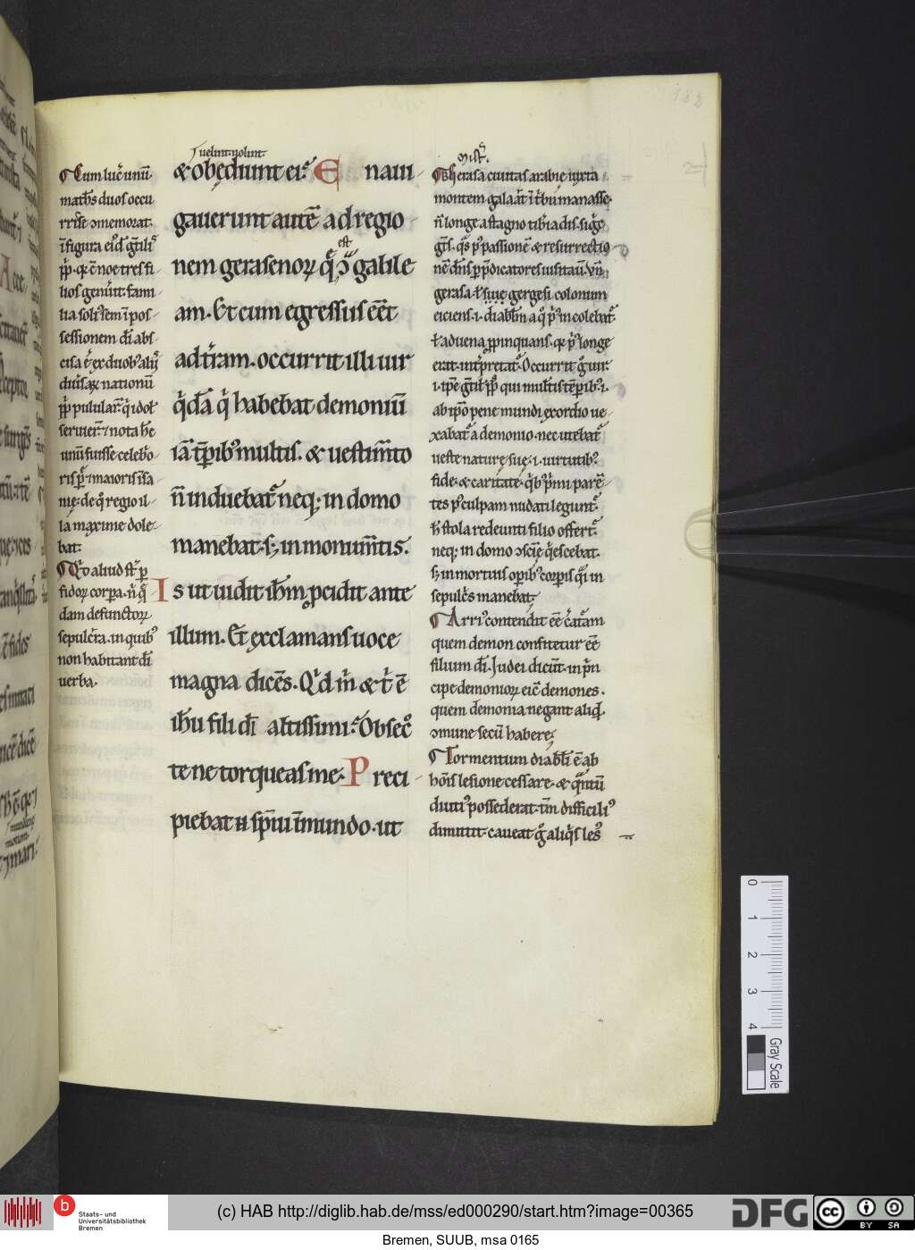 http://diglib.hab.de/mss/ed000290/00365.jpg