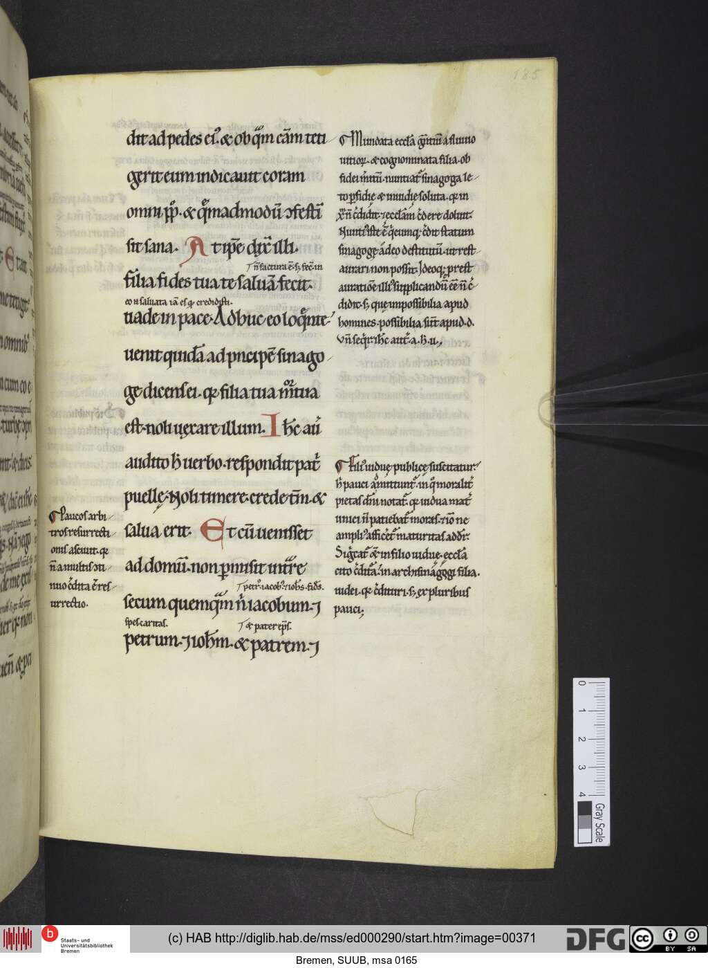 http://diglib.hab.de/mss/ed000290/00371.jpg