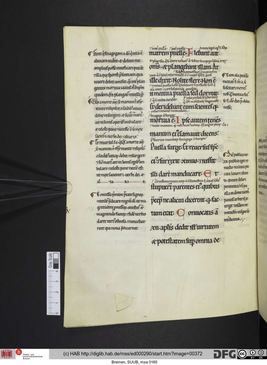 http://diglib.hab.de/mss/ed000290/00372.jpg