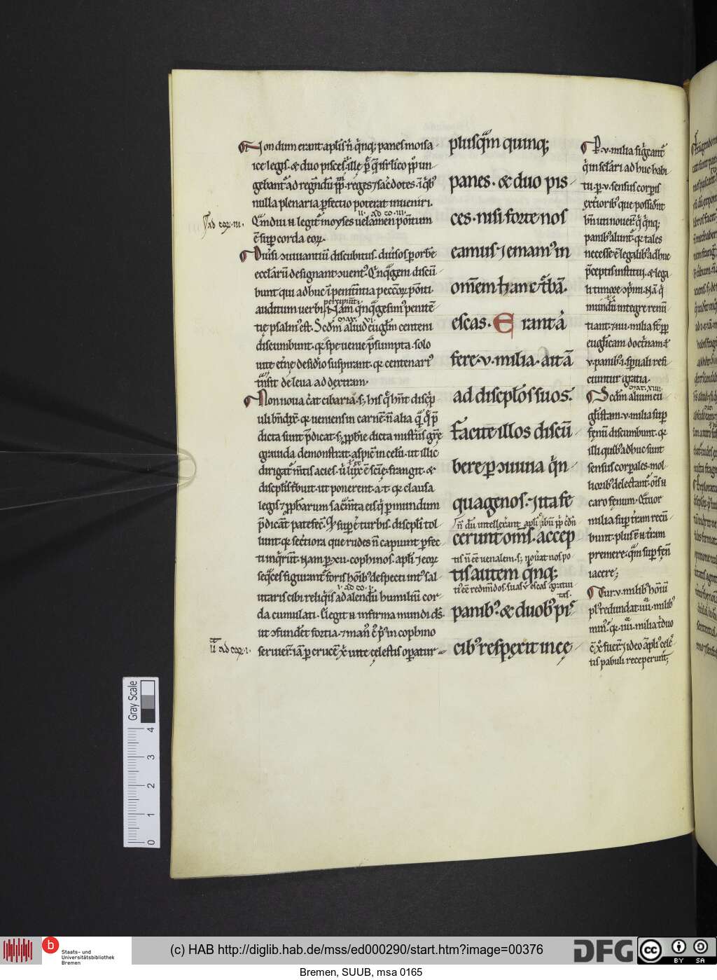 http://diglib.hab.de/mss/ed000290/00376.jpg