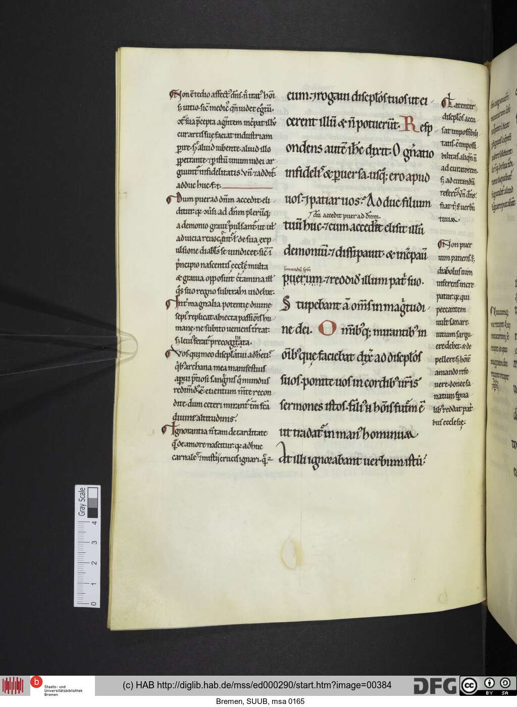 http://diglib.hab.de/mss/ed000290/00384.jpg