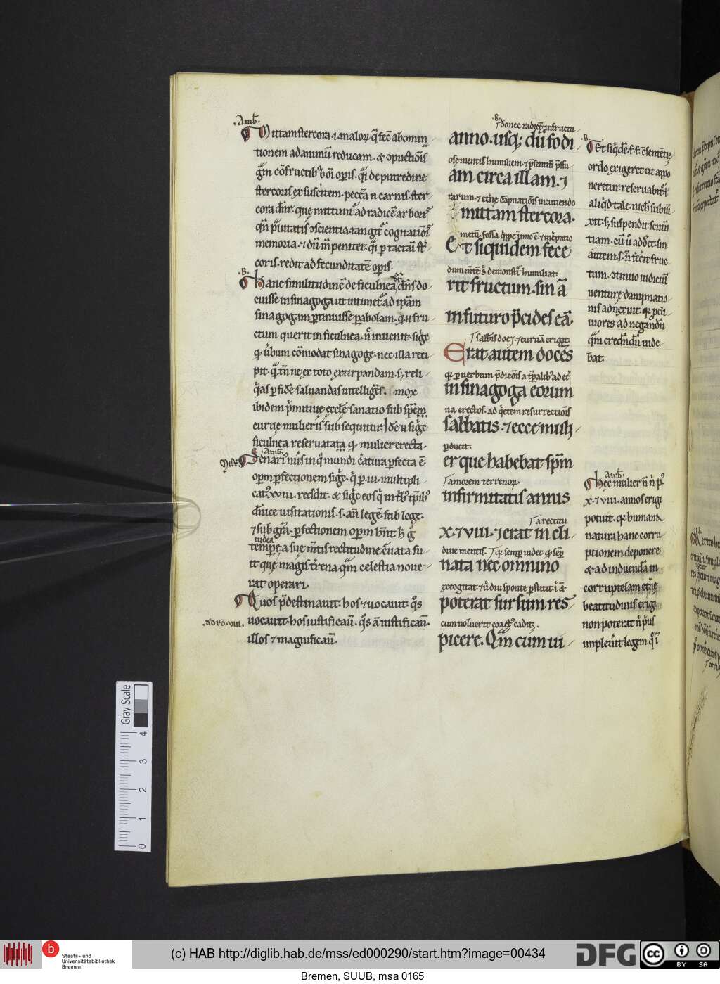 http://diglib.hab.de/mss/ed000290/00434.jpg