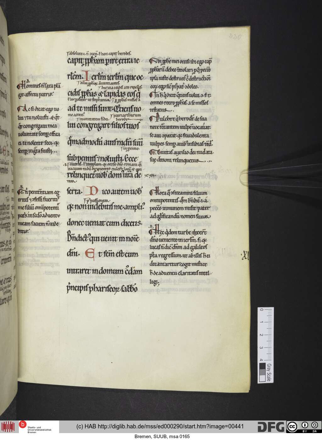 http://diglib.hab.de/mss/ed000290/00441.jpg