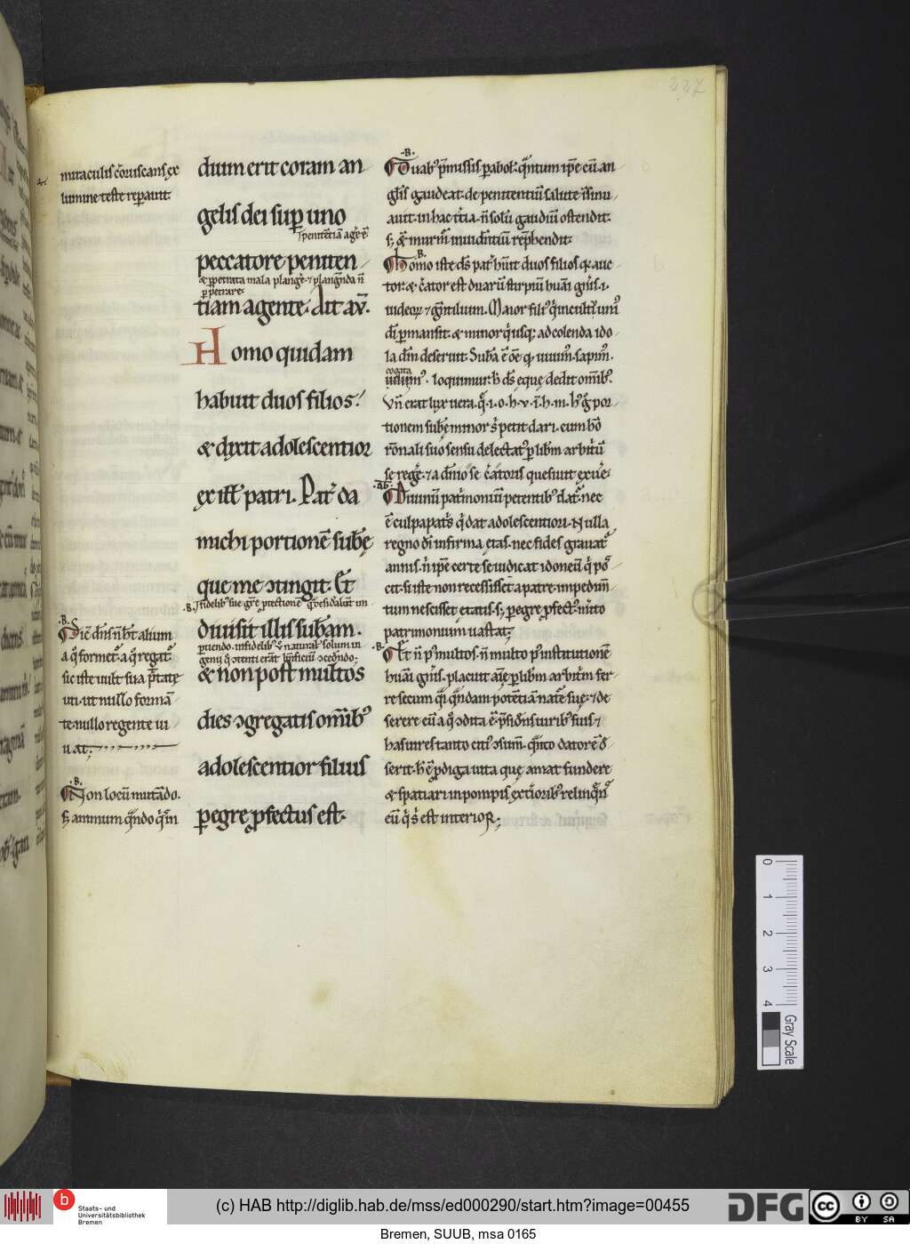 http://diglib.hab.de/mss/ed000290/00455.jpg