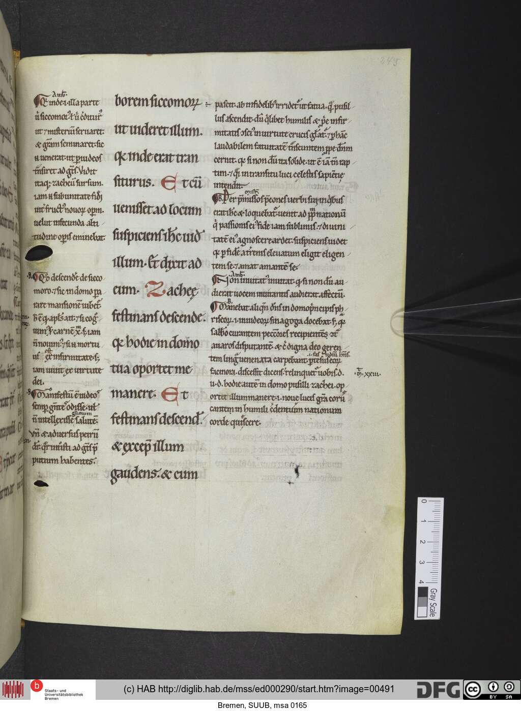 http://diglib.hab.de/mss/ed000290/00491.jpg