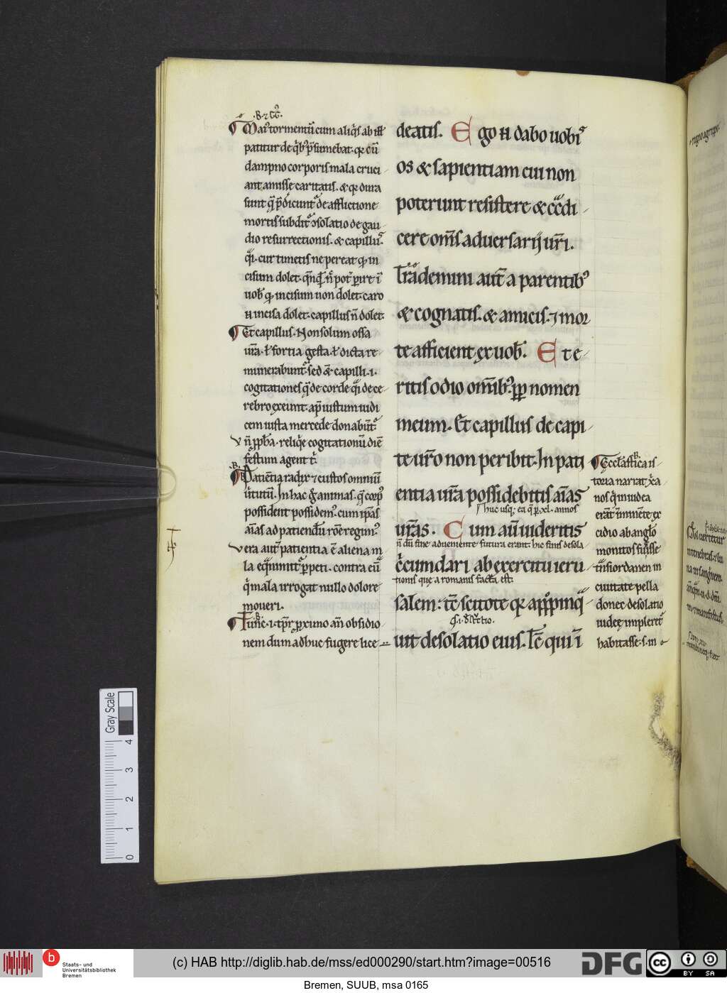 http://diglib.hab.de/mss/ed000290/00516.jpg