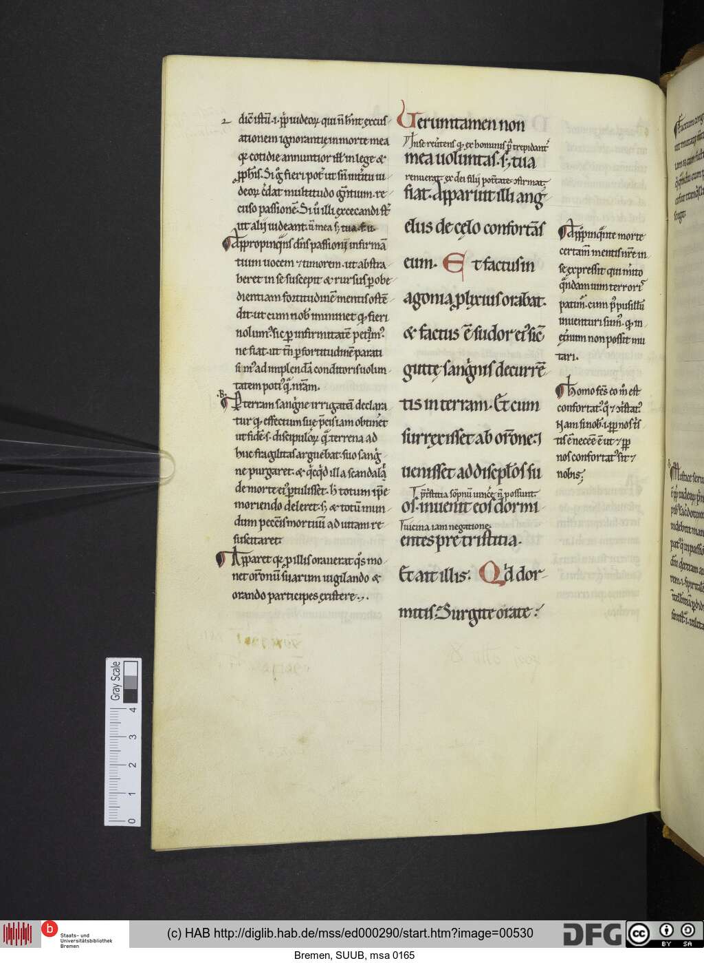 http://diglib.hab.de/mss/ed000290/00530.jpg