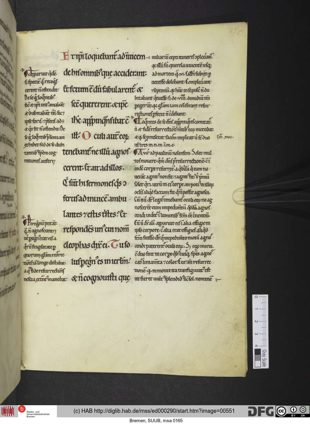 http://diglib.hab.de/mss/ed000290/00551.jpg