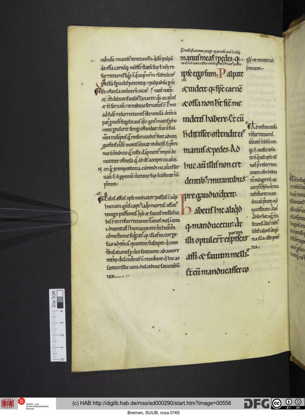 http://diglib.hab.de/mss/ed000290/00556.jpg