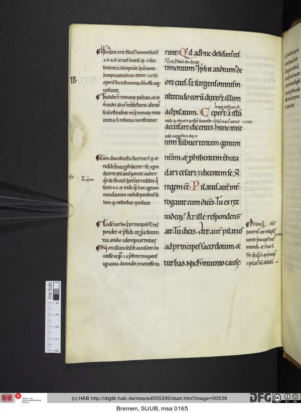 http://diglib.hab.de/mss/ed000290/min/00536.jpg