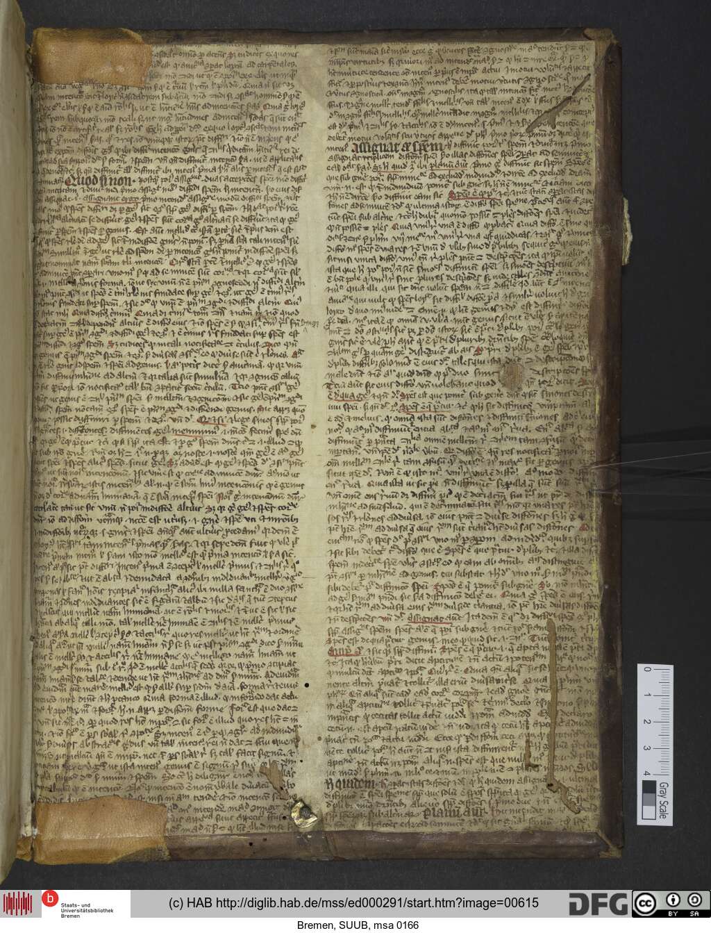 http://diglib.hab.de/mss/ed000291/00615.jpg