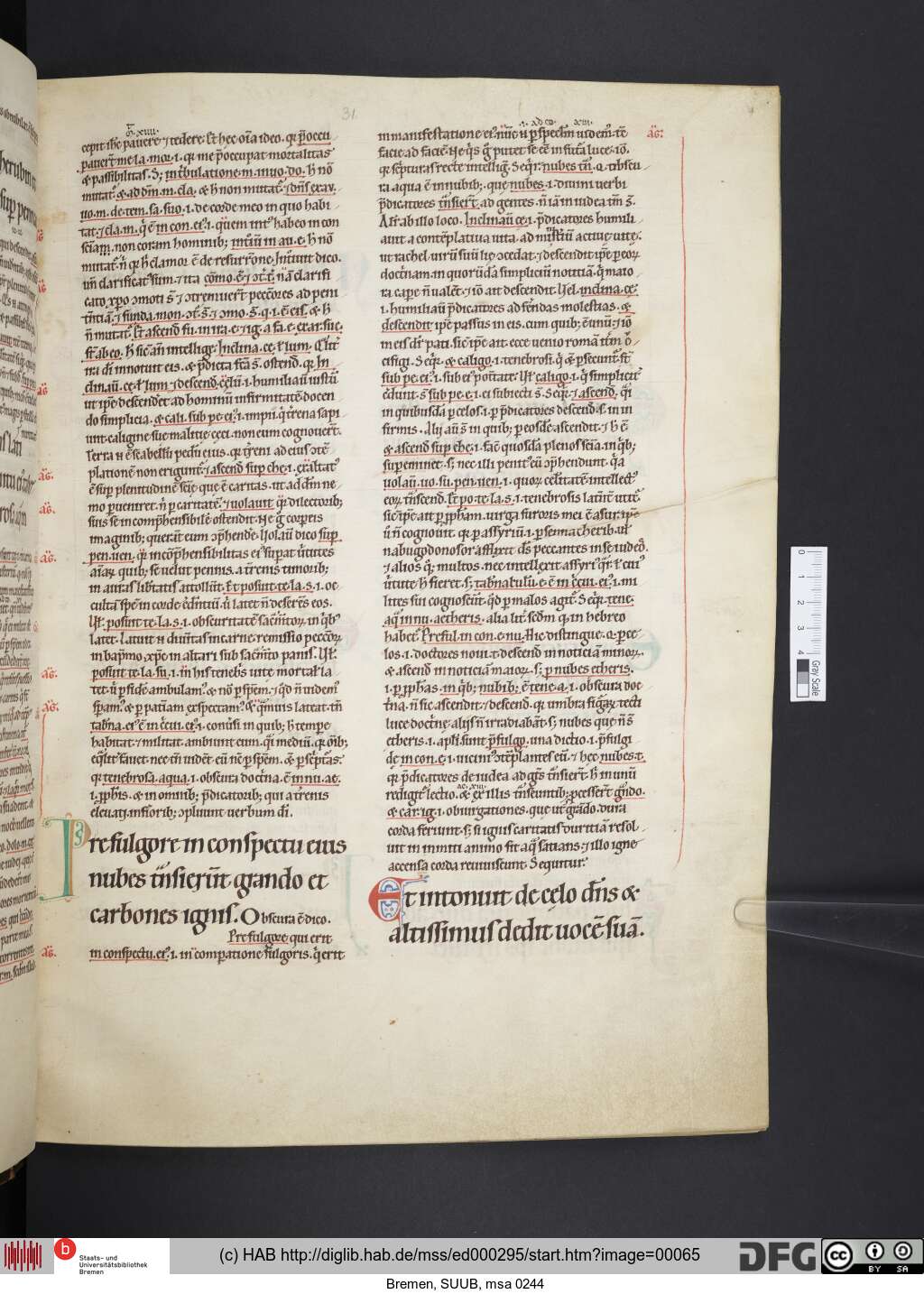 http://diglib.hab.de/mss/ed000295/00065.jpg