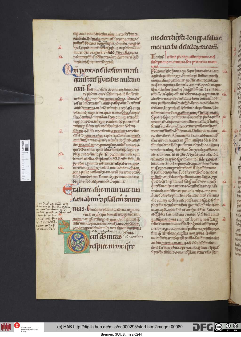 http://diglib.hab.de/mss/ed000295/00080.jpg
