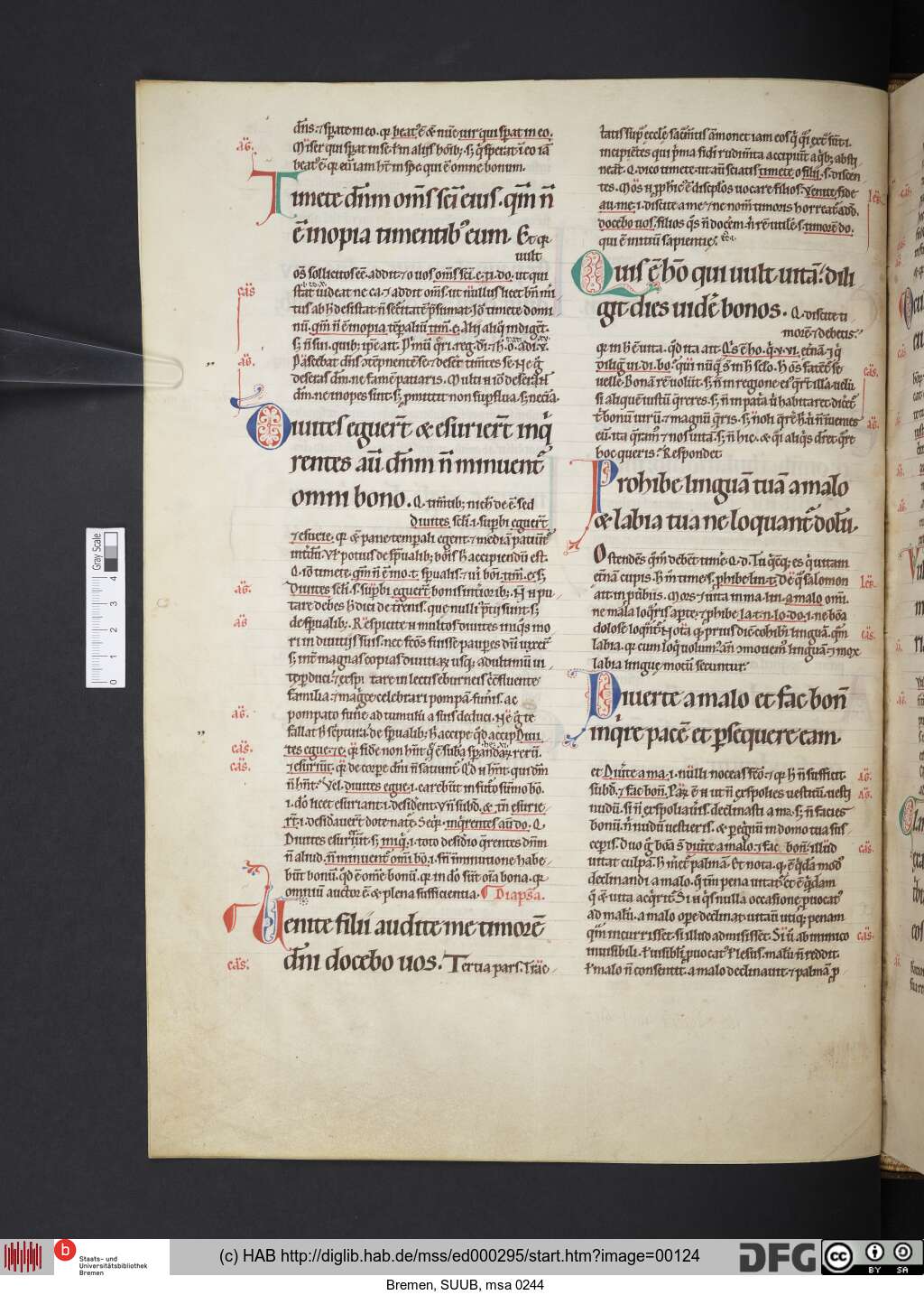 http://diglib.hab.de/mss/ed000295/00124.jpg