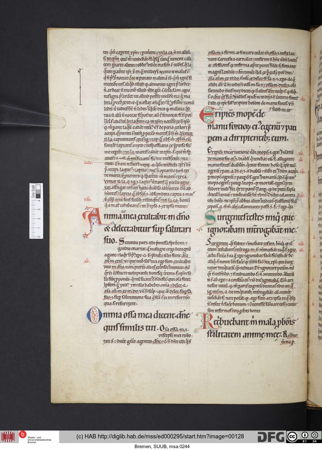 http://diglib.hab.de/mss/ed000295/00128.jpg