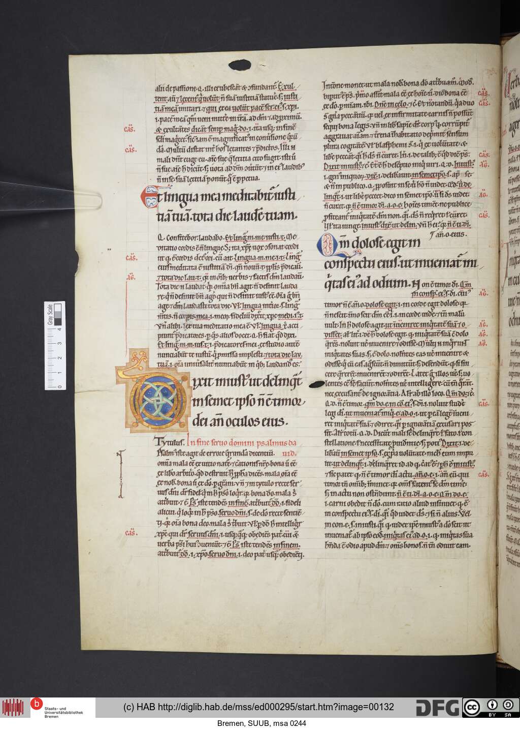 http://diglib.hab.de/mss/ed000295/00132.jpg