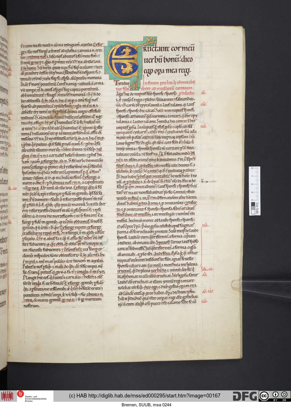 http://diglib.hab.de/mss/ed000295/00167.jpg