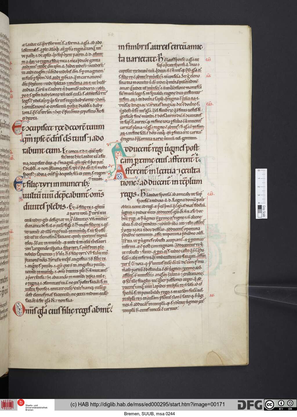 http://diglib.hab.de/mss/ed000295/00171.jpg