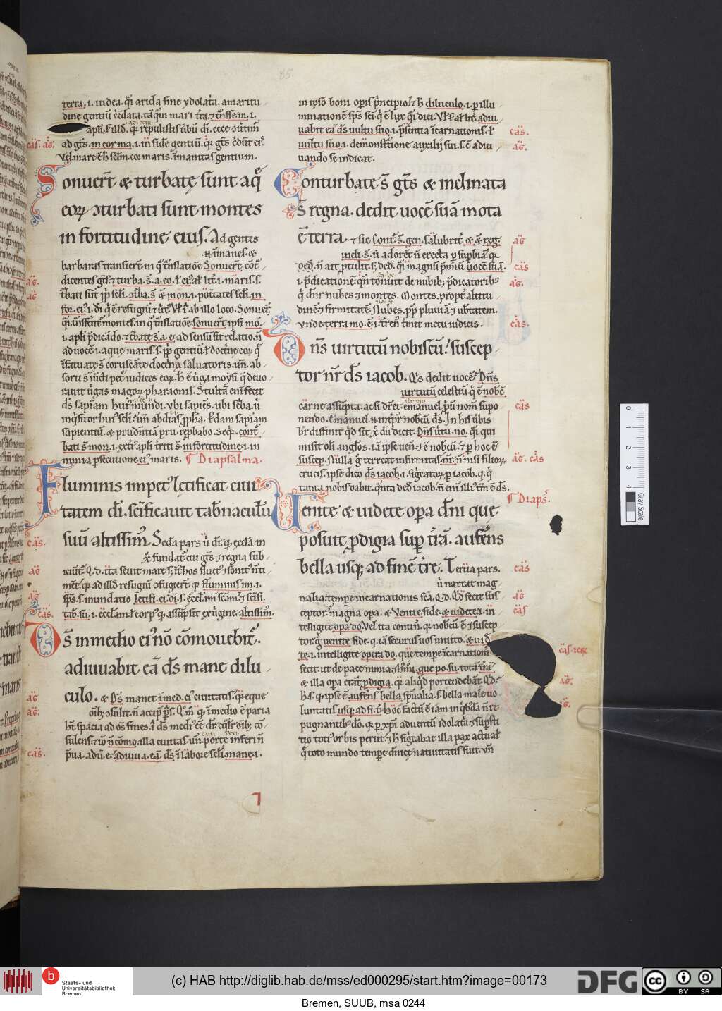http://diglib.hab.de/mss/ed000295/00173.jpg