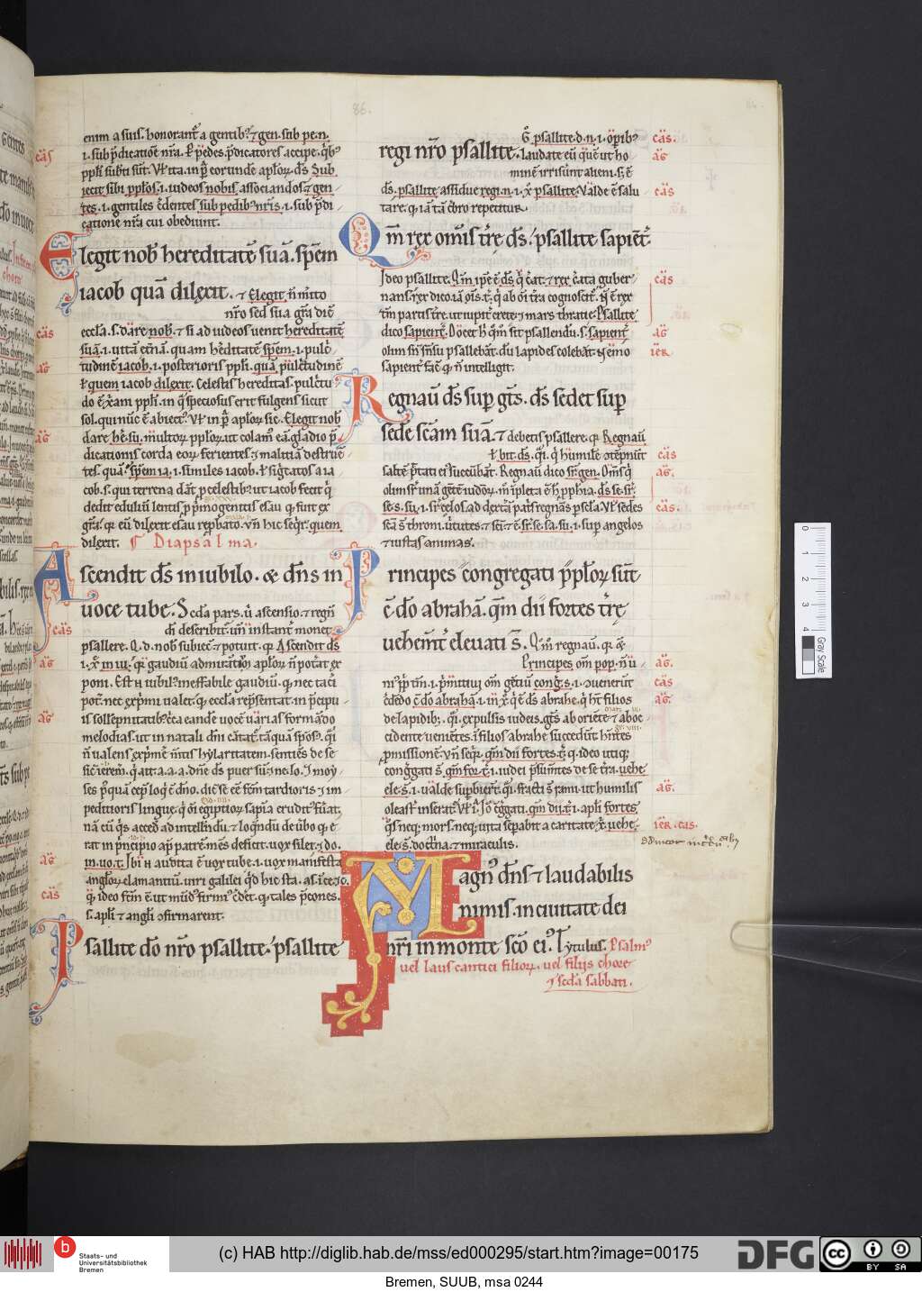 http://diglib.hab.de/mss/ed000295/00175.jpg