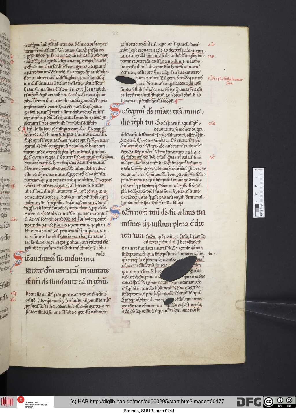 http://diglib.hab.de/mss/ed000295/00177.jpg