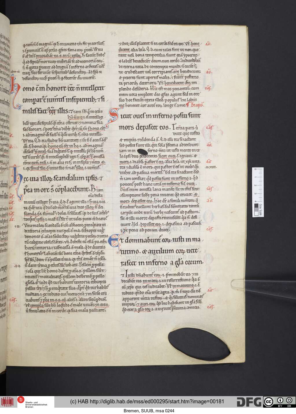 http://diglib.hab.de/mss/ed000295/00181.jpg