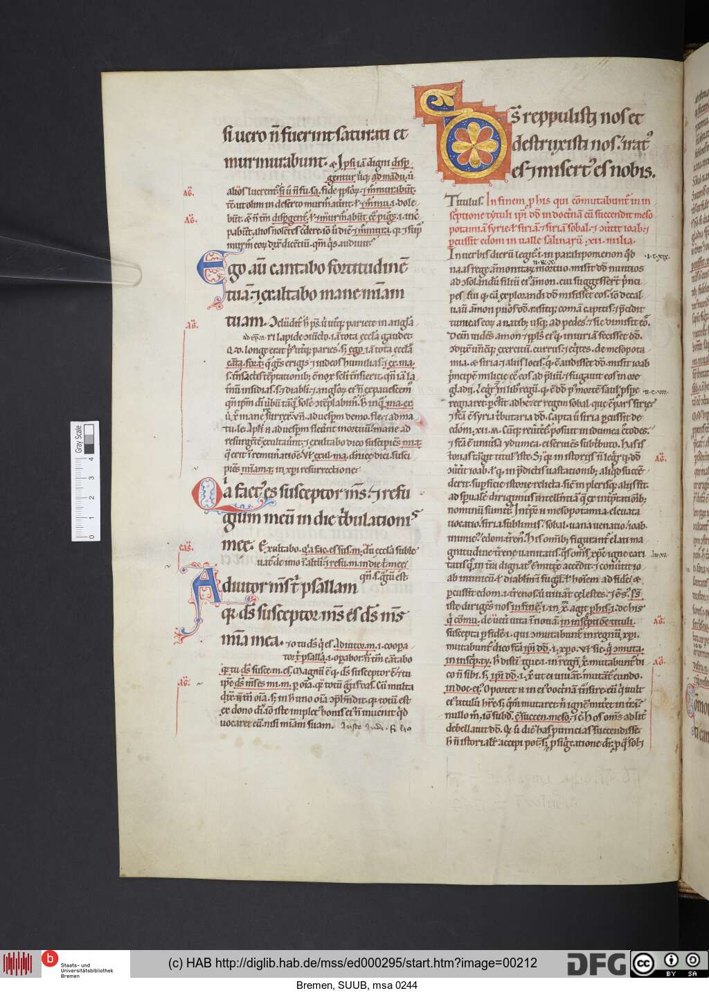 http://diglib.hab.de/mss/ed000295/00212.jpg