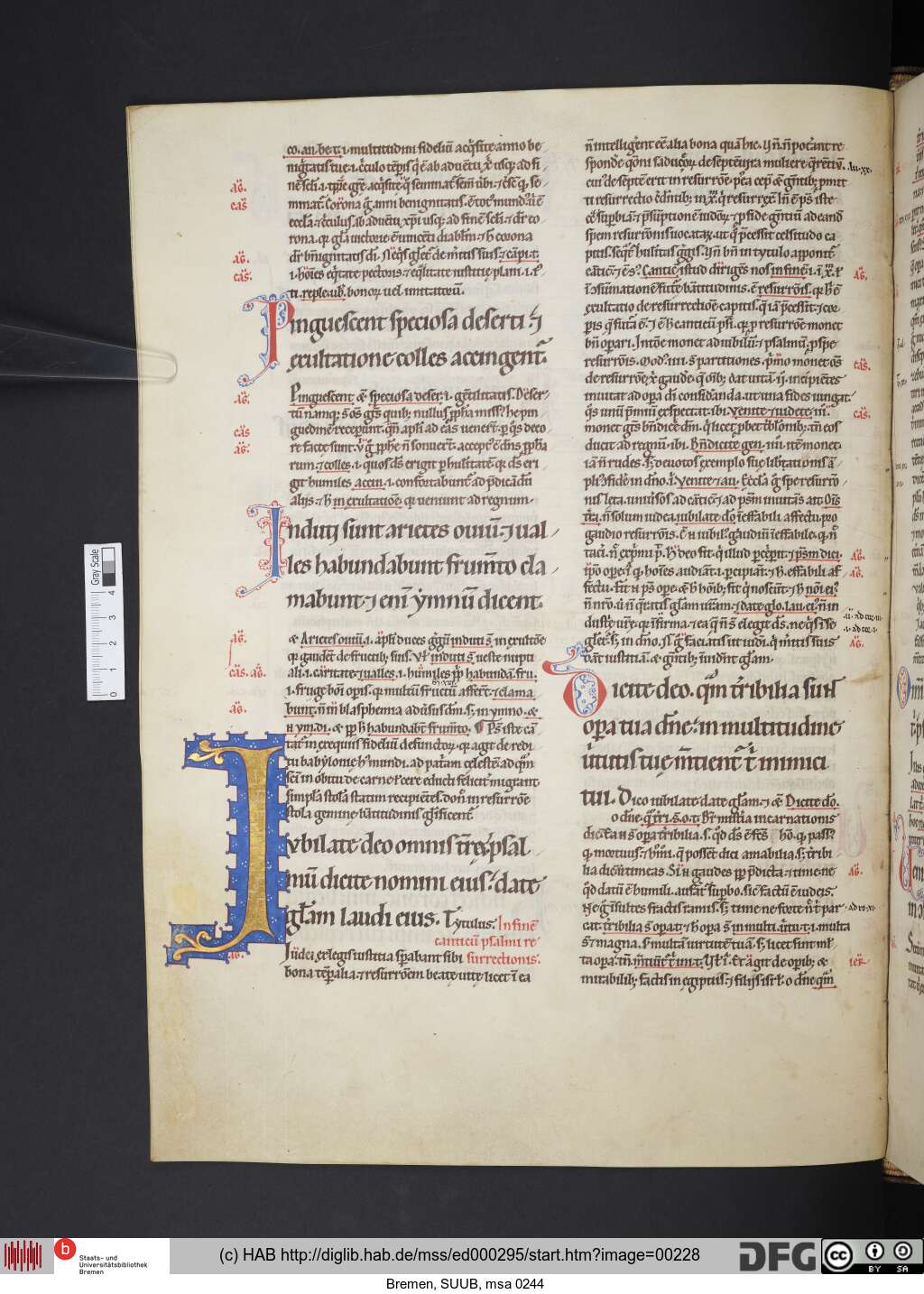 http://diglib.hab.de/mss/ed000295/00228.jpg