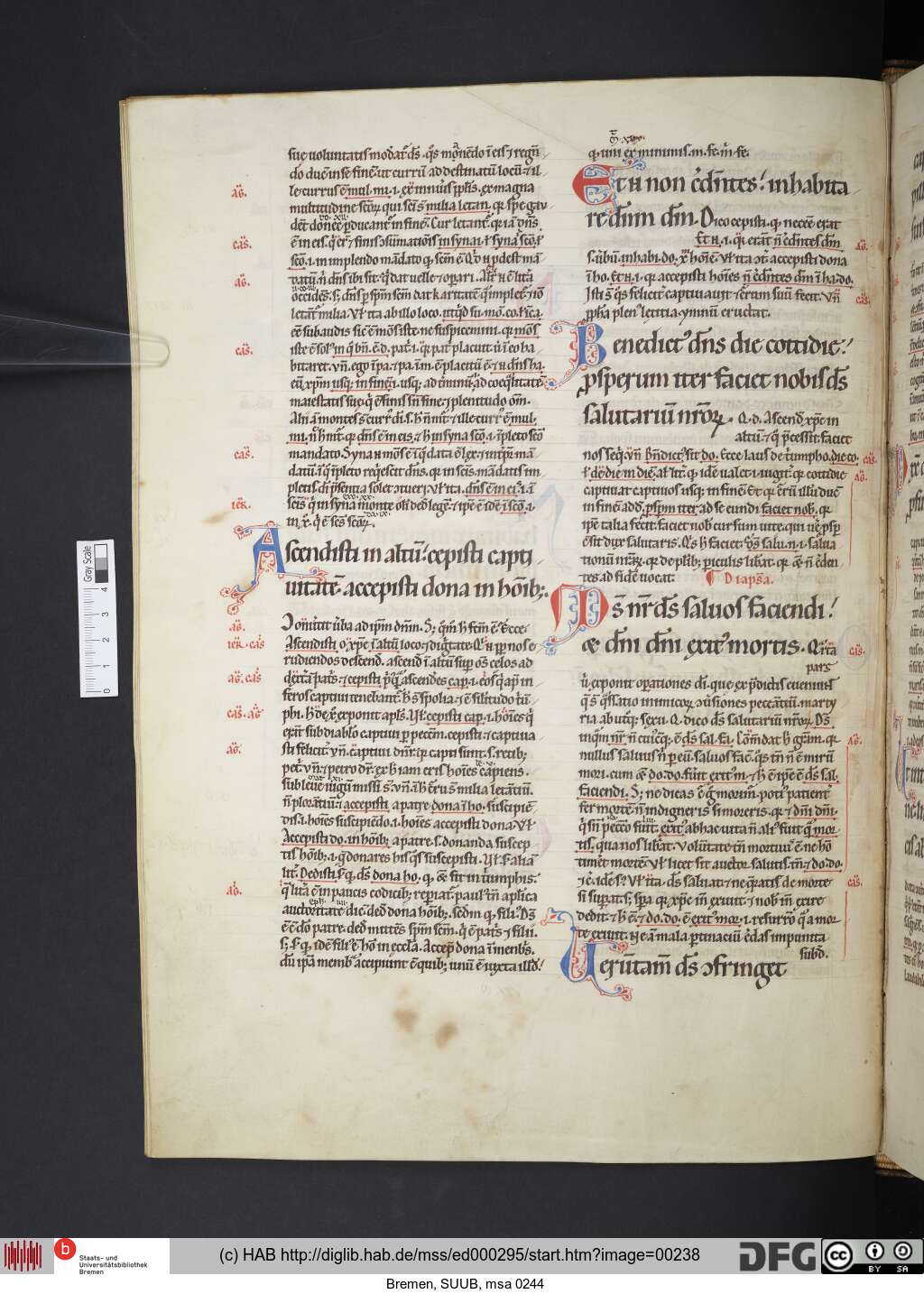 http://diglib.hab.de/mss/ed000295/00238.jpg