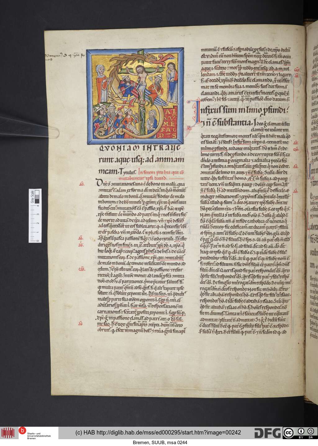http://diglib.hab.de/mss/ed000295/00242.jpg