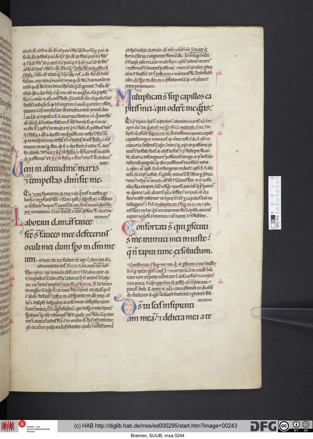 http://diglib.hab.de/mss/ed000295/00243.jpg