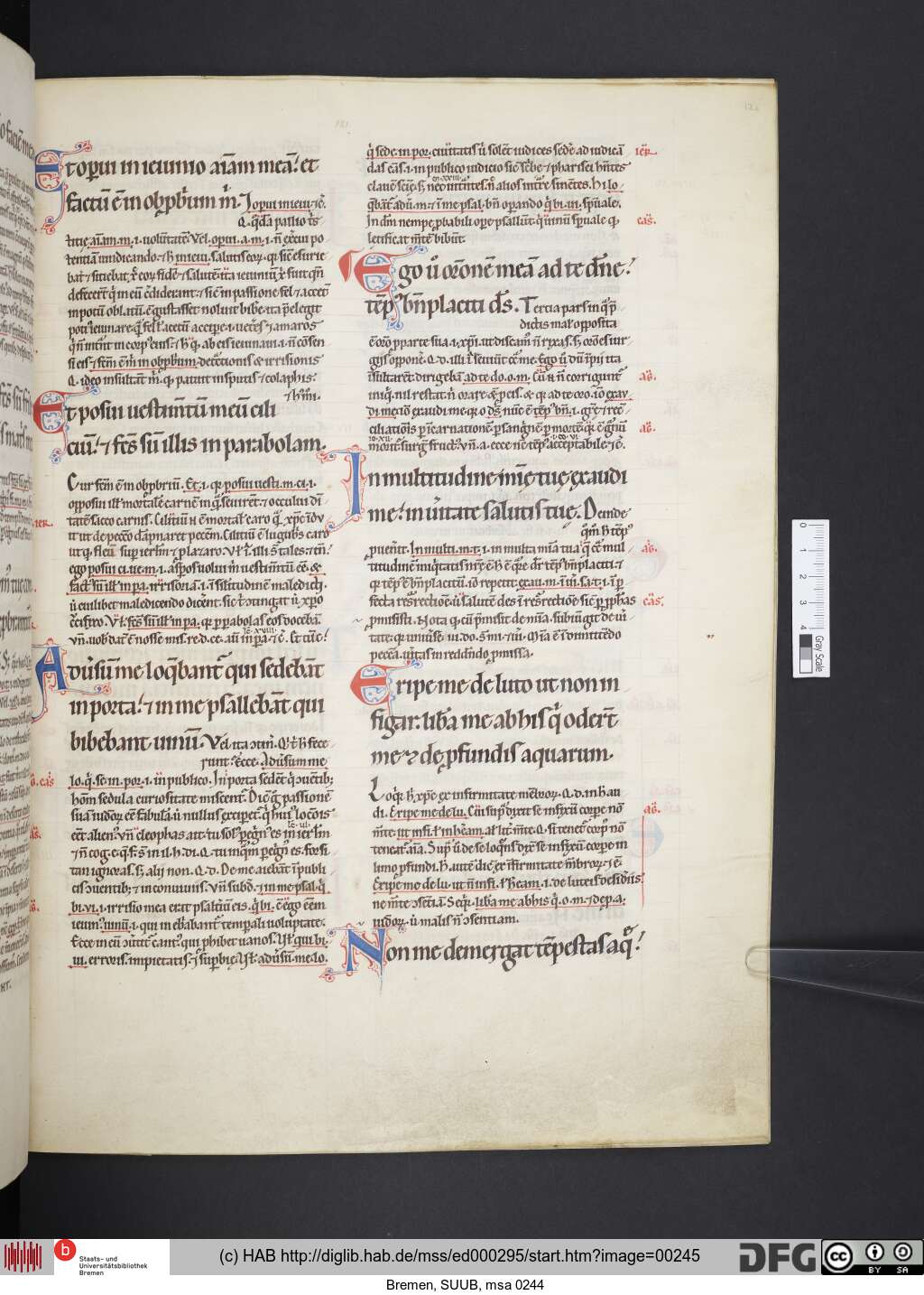 http://diglib.hab.de/mss/ed000295/00245.jpg
