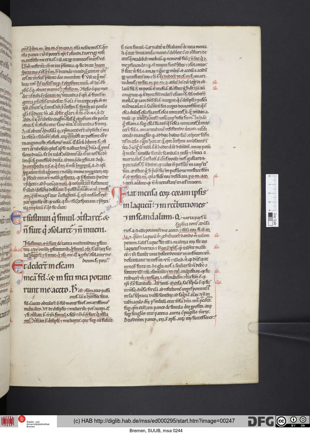 http://diglib.hab.de/mss/ed000295/00247.jpg