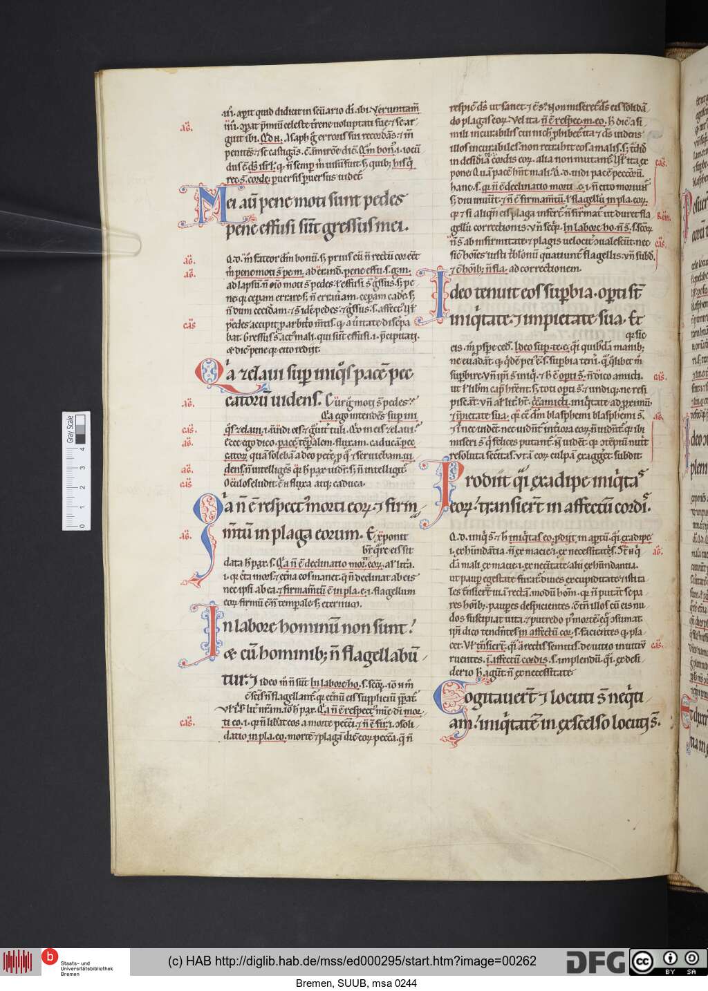 http://diglib.hab.de/mss/ed000295/00262.jpg