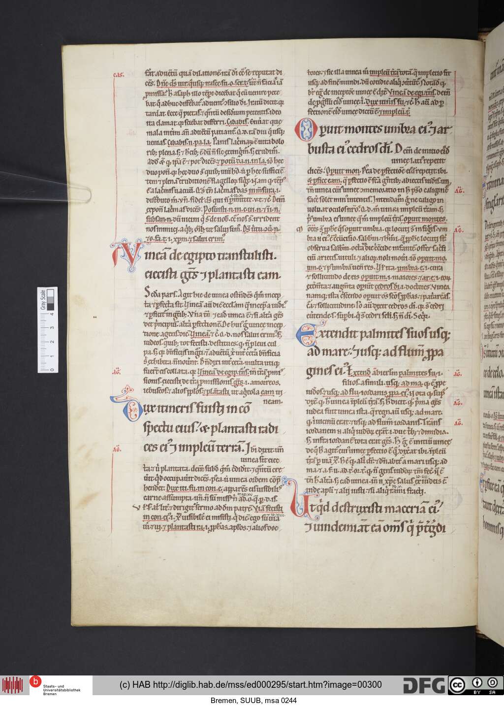 http://diglib.hab.de/mss/ed000295/00300.jpg
