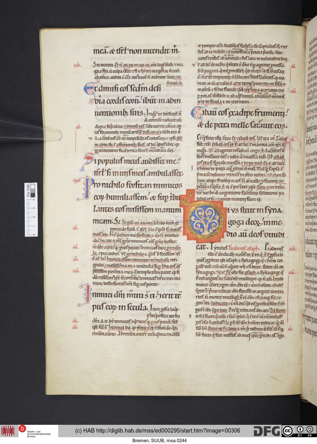 http://diglib.hab.de/mss/ed000295/00306.jpg