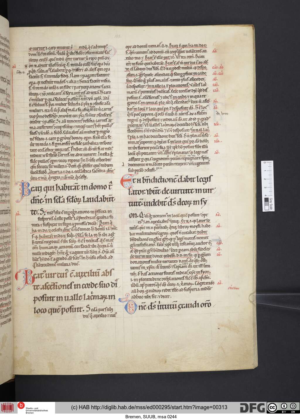 http://diglib.hab.de/mss/ed000295/00313.jpg