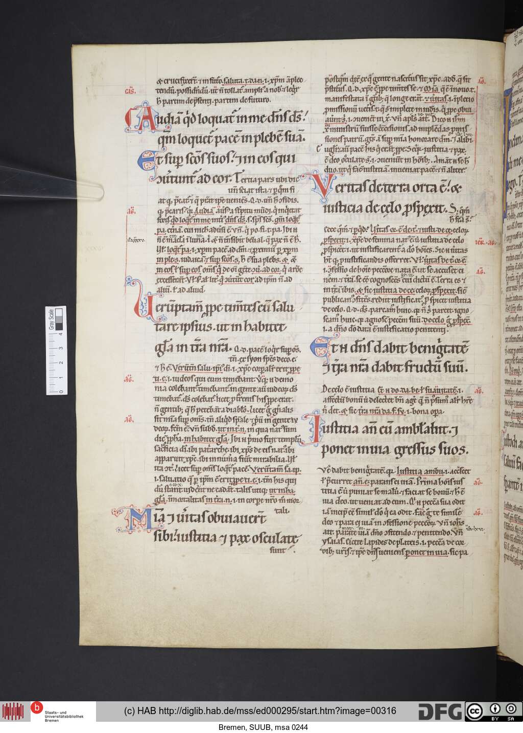 http://diglib.hab.de/mss/ed000295/00316.jpg