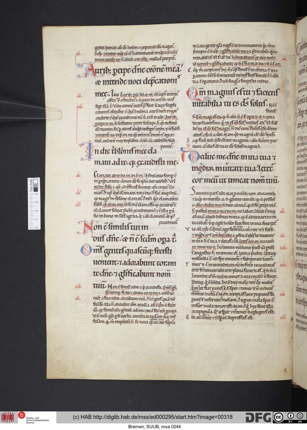 http://diglib.hab.de/mss/ed000295/00318.jpg