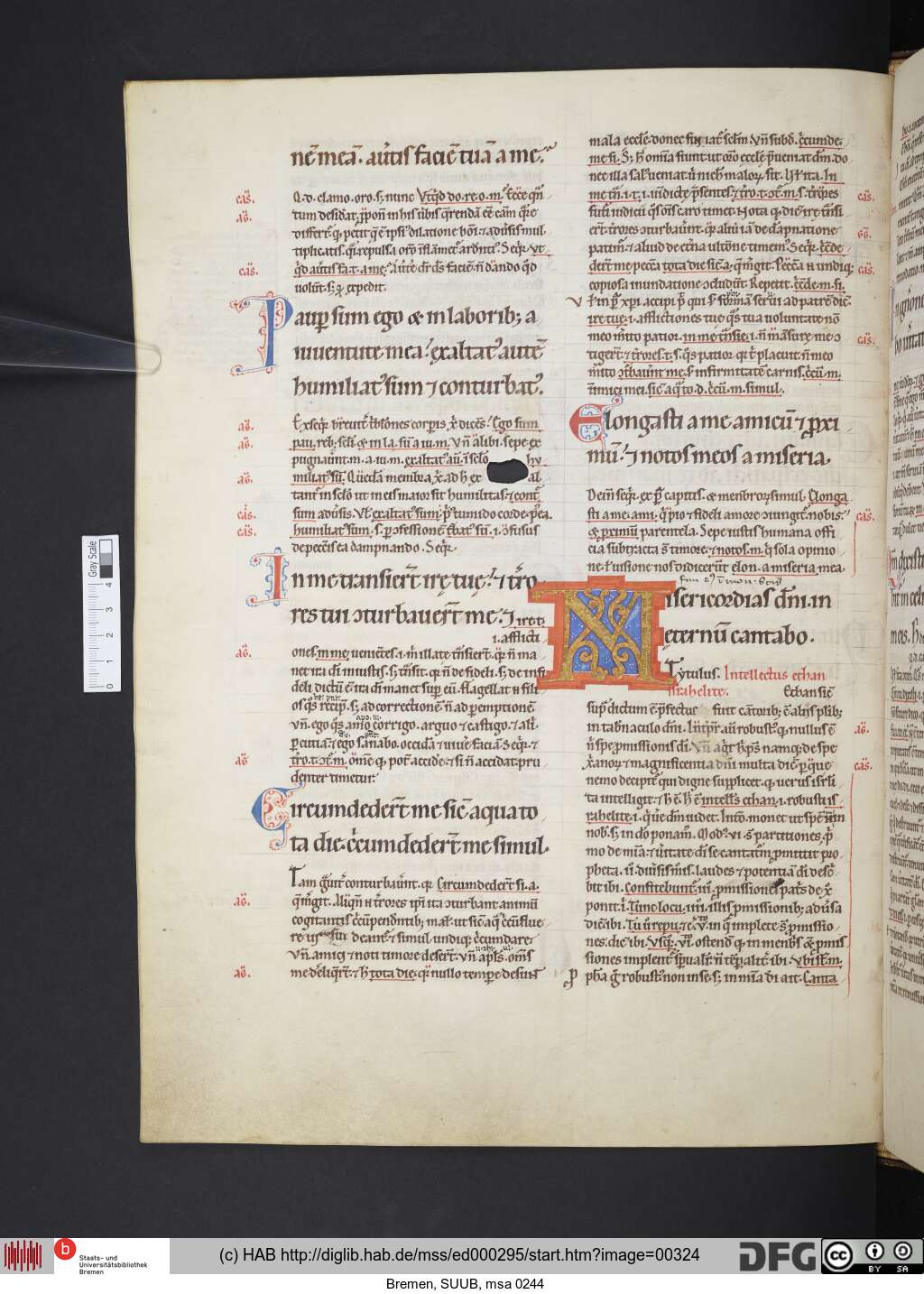http://diglib.hab.de/mss/ed000295/00324.jpg