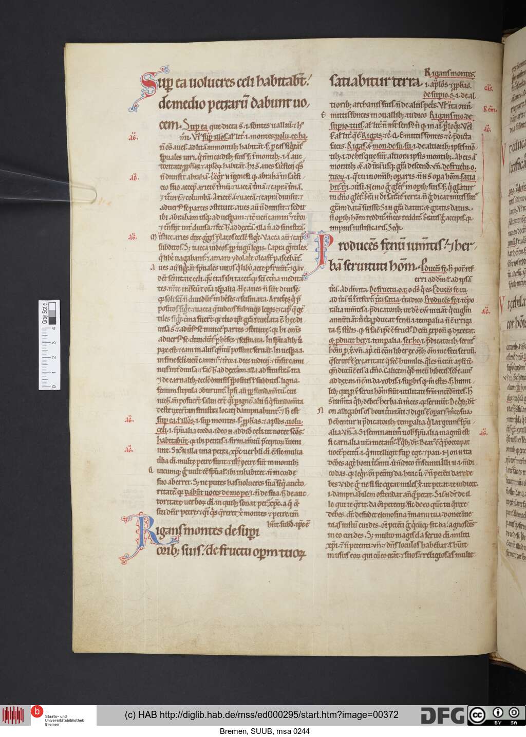 http://diglib.hab.de/mss/ed000295/00372.jpg