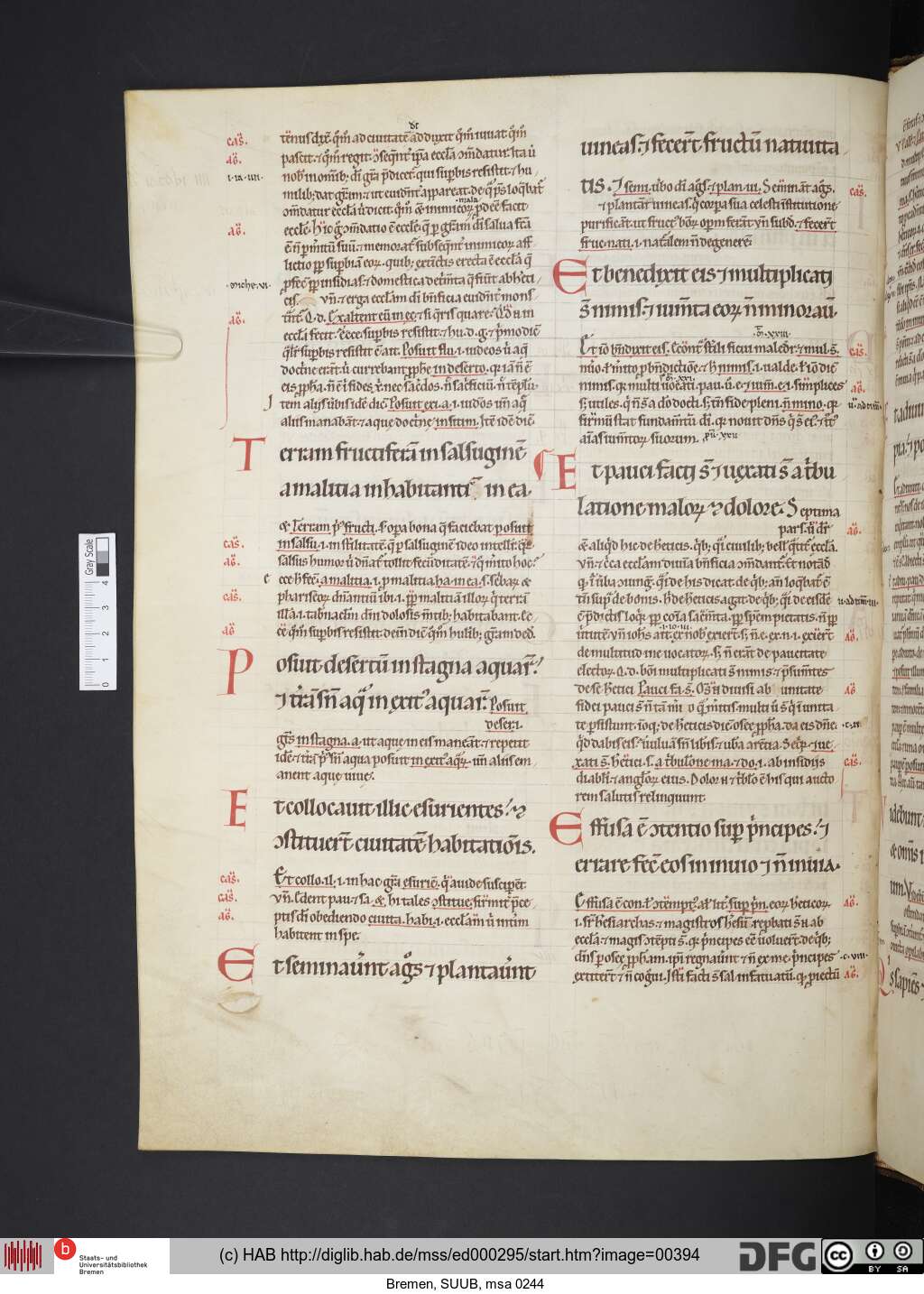 http://diglib.hab.de/mss/ed000295/00394.jpg