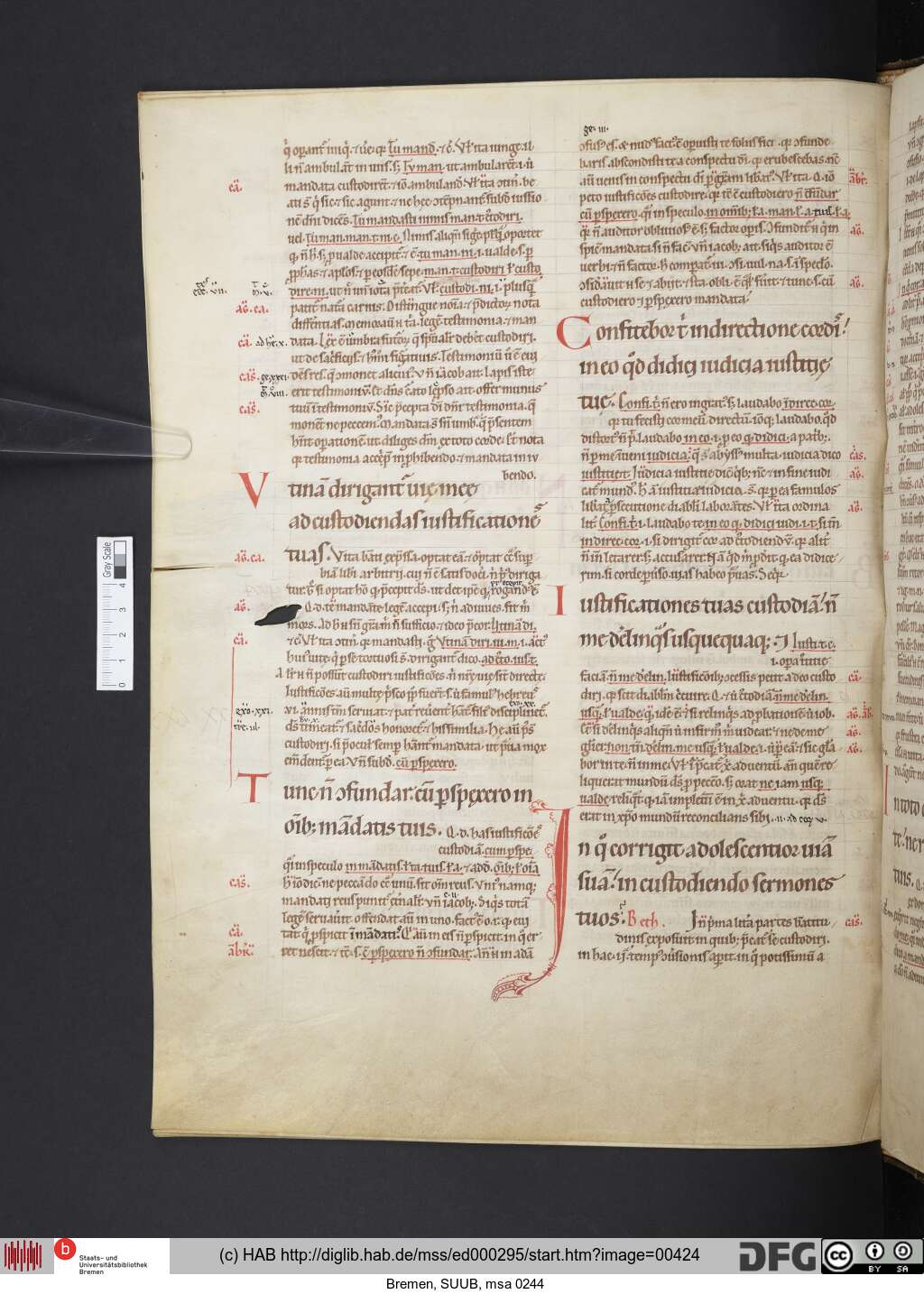 http://diglib.hab.de/mss/ed000295/00424.jpg