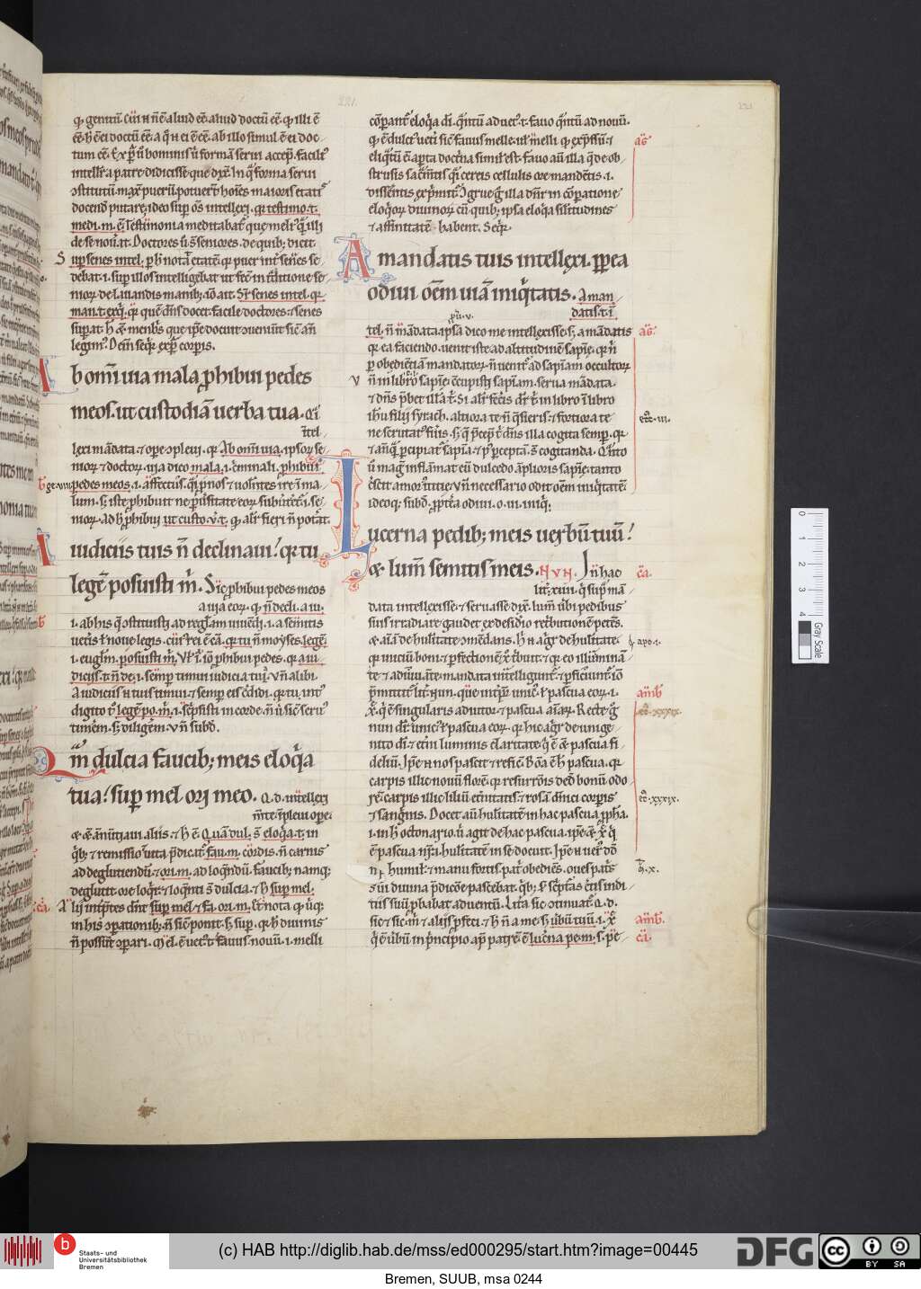 http://diglib.hab.de/mss/ed000295/00445.jpg