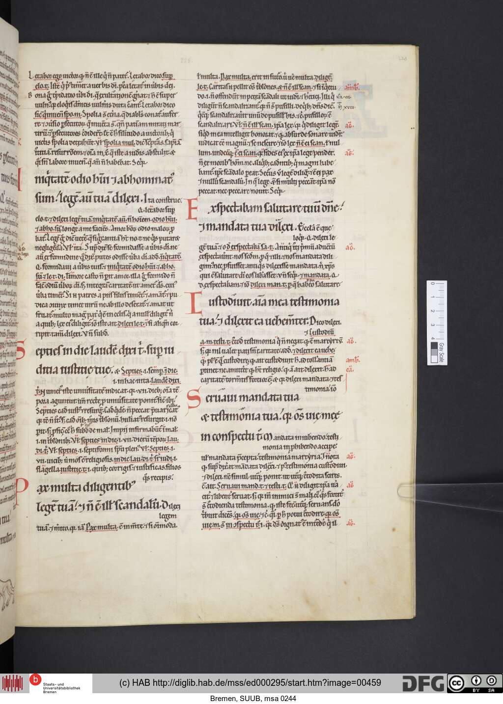 http://diglib.hab.de/mss/ed000295/00459.jpg