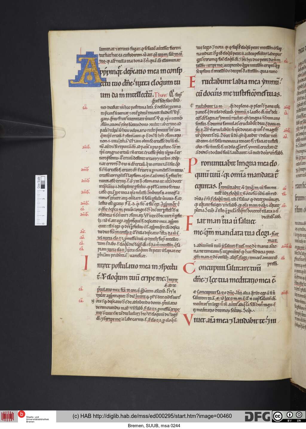 http://diglib.hab.de/mss/ed000295/00460.jpg