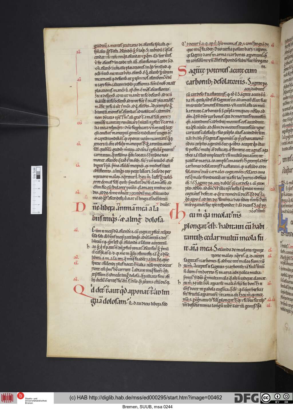 http://diglib.hab.de/mss/ed000295/00462.jpg